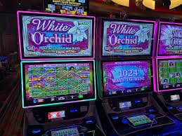 Pengalaman blackjack langsung di Playtech Meja blackjack langsung Playtech dengan dealer profesional